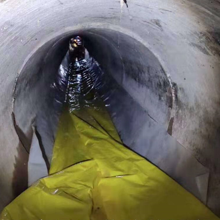 莫力达瓦管道光固化修复